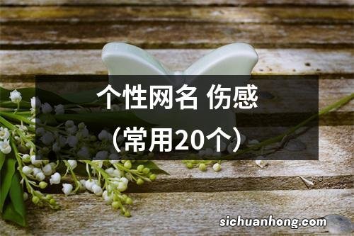 常用20个 个性网名 伤感
