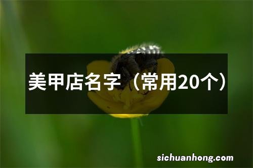 常用20个 美甲店名字
