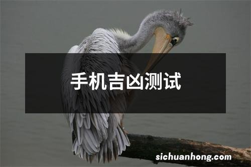 手机吉凶测试