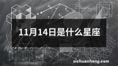 11月14日是什么星座