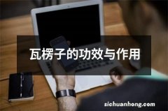 瓦楞子的功效与作用