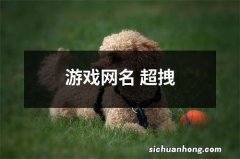 游戏网名 超拽