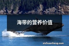 海带的营养价值