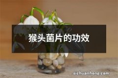 猴头菌片的功效