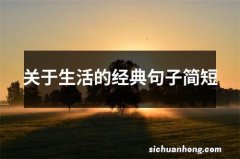 关于生活的经典句子简短