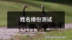 姓名缘份测试