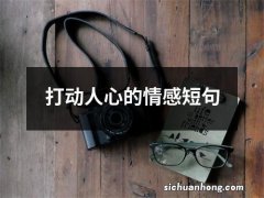 打动人心的情感短句