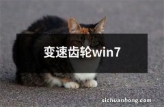 变速齿轮win7