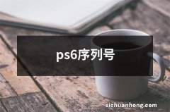 ps6序列号