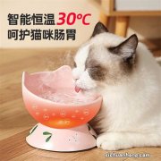 如何正确喂养刚出生的小猫？