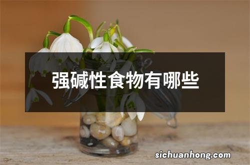 强碱性食物有哪些