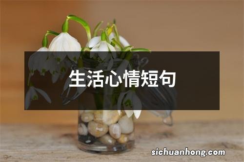 生活心情短句