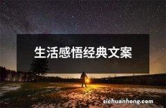 生活感悟经典文案