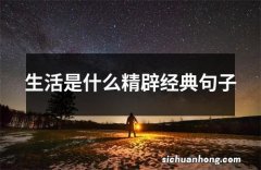 生活是什么精辟经典句子