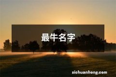 最牛名字