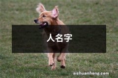 人名字