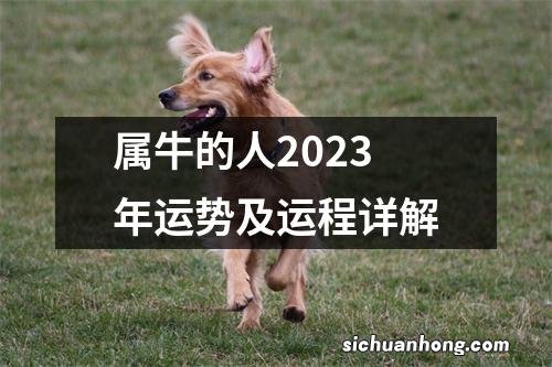 属牛的人2023年运势及运程详解