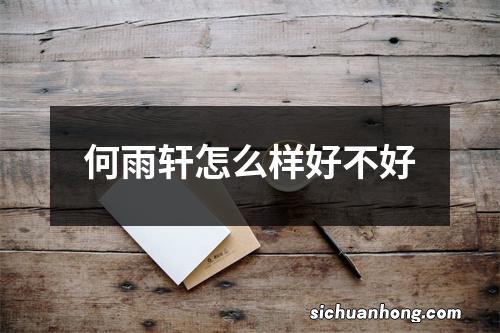 何雨轩怎么样好不好