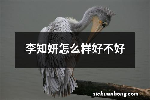 李知妍怎么样好不好