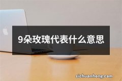 9朵玫瑰代表什么意思