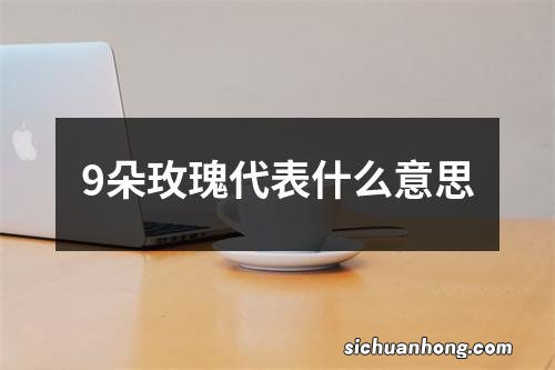 9朵玫瑰代表什么意思