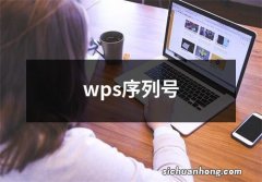 wps序列号