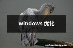 windows 优化