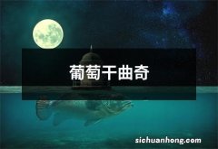 葡萄干曲奇