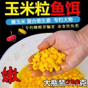 夏季野钓，嫩玉米的4种最简单用法，杂鱼不沾，专门用来钓大鱼