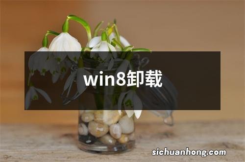 win8卸载