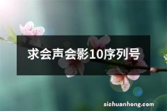 求会声会影10序列号