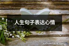 人生句子表达心情