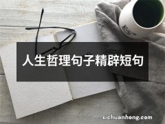 人生哲理句子精辟短句