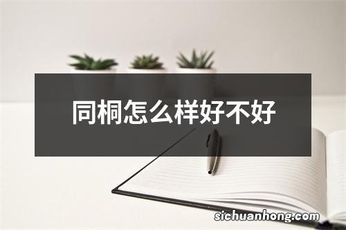 同桐怎么样好不好