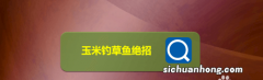 盛夏野钓草鱼，最有效的5种钓法，气温越高，大草鱼越好钓