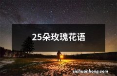 25朵玫瑰花语