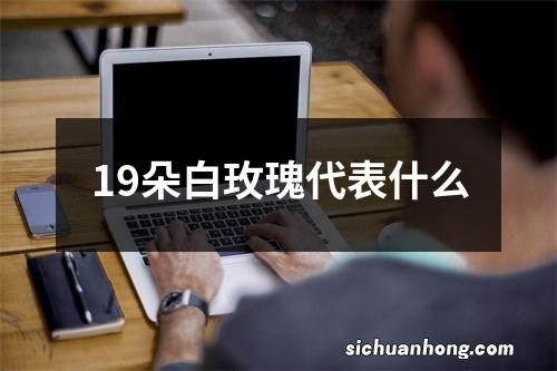 19朵白玫瑰代表什么