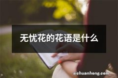 无忧花的花语是什么