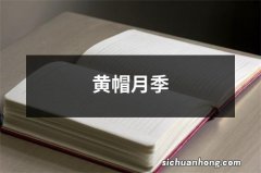 黄帽月季