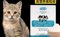 刚出生一月小猫吃啥