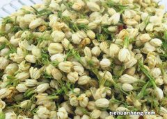 钟薛高的雪糕好吃吗 有哪些口味