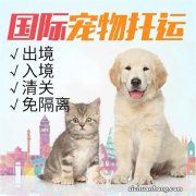 火车托运宠物猫需要支付多少费用？