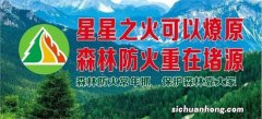 西班牙瓦伦西亚山林火灾 发生火灾的原因有哪些？