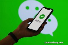 你觉得微信支付和支付宝支付，未来谁会赢？