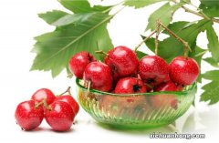 怀孕期间应该吃什么水果？哪些水果不适合孕期食用？不妨早做了解