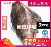 世界上十大最贵海鱼 蓝鳍金枪鱼的价格能在北京买一套房