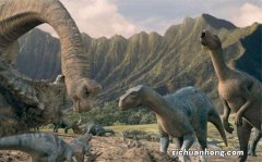 恐龙血型 到底是什么血型