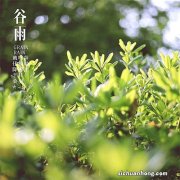 ?谷雨是24节气第几个 谷雨是什么季节的节气