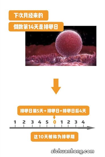 安全期避孕不安全，前七后八不靠谱！我家老二就是这么来的！