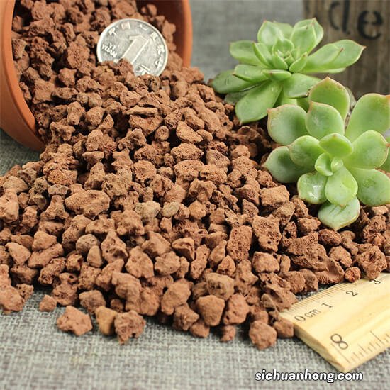 多肉配土除了珍珠岩还放什么?其实珍珠岩并不好,我们有更好选择